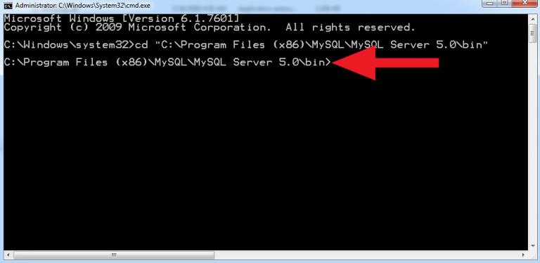 Export mysql database to .sql file - ChillyFacts